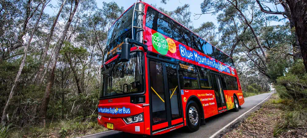 Red Blue Mountains Explorer bus on forest road