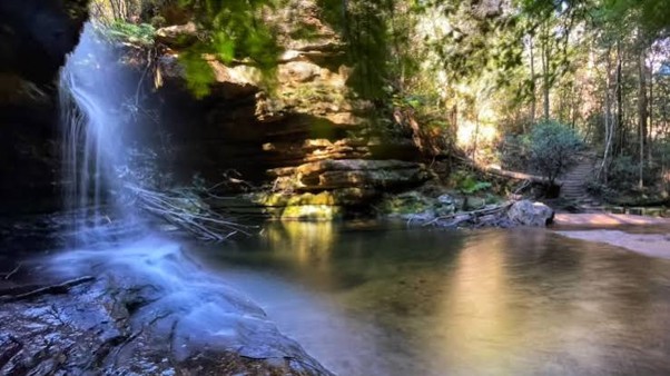 Small waterfall flowing into a tranquil forest pool