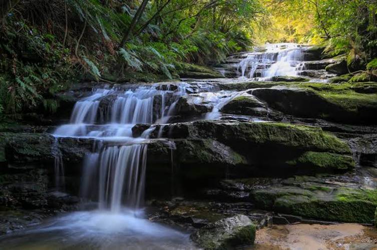 Tiered waterfall flowing through lush mossy rainforest